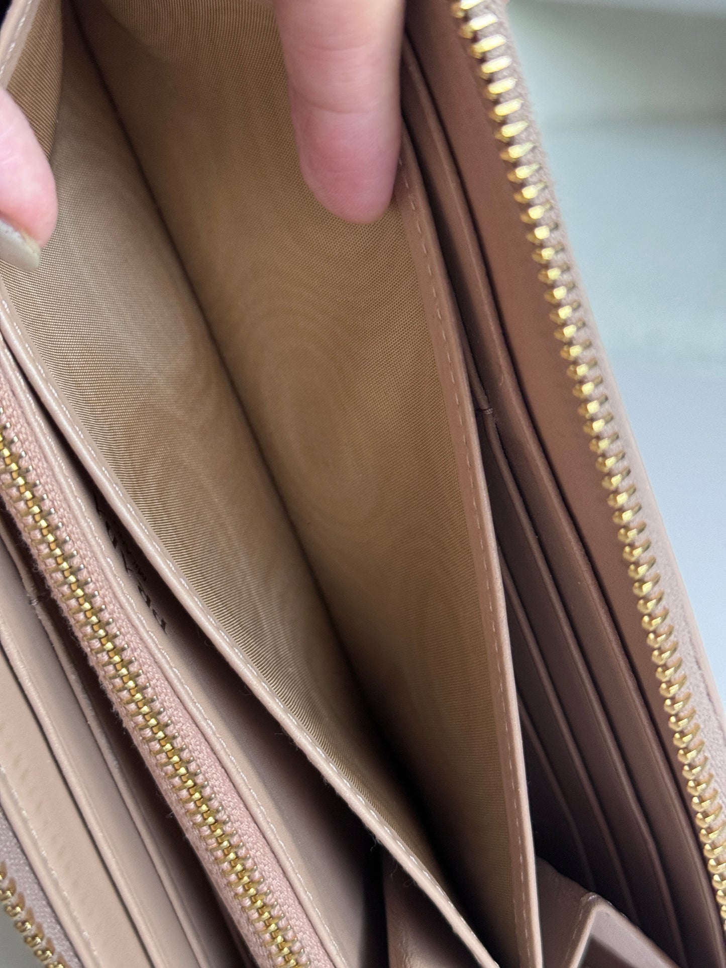 Vitello Move Zip Around Long Wallet in Cammeo Nude Pink