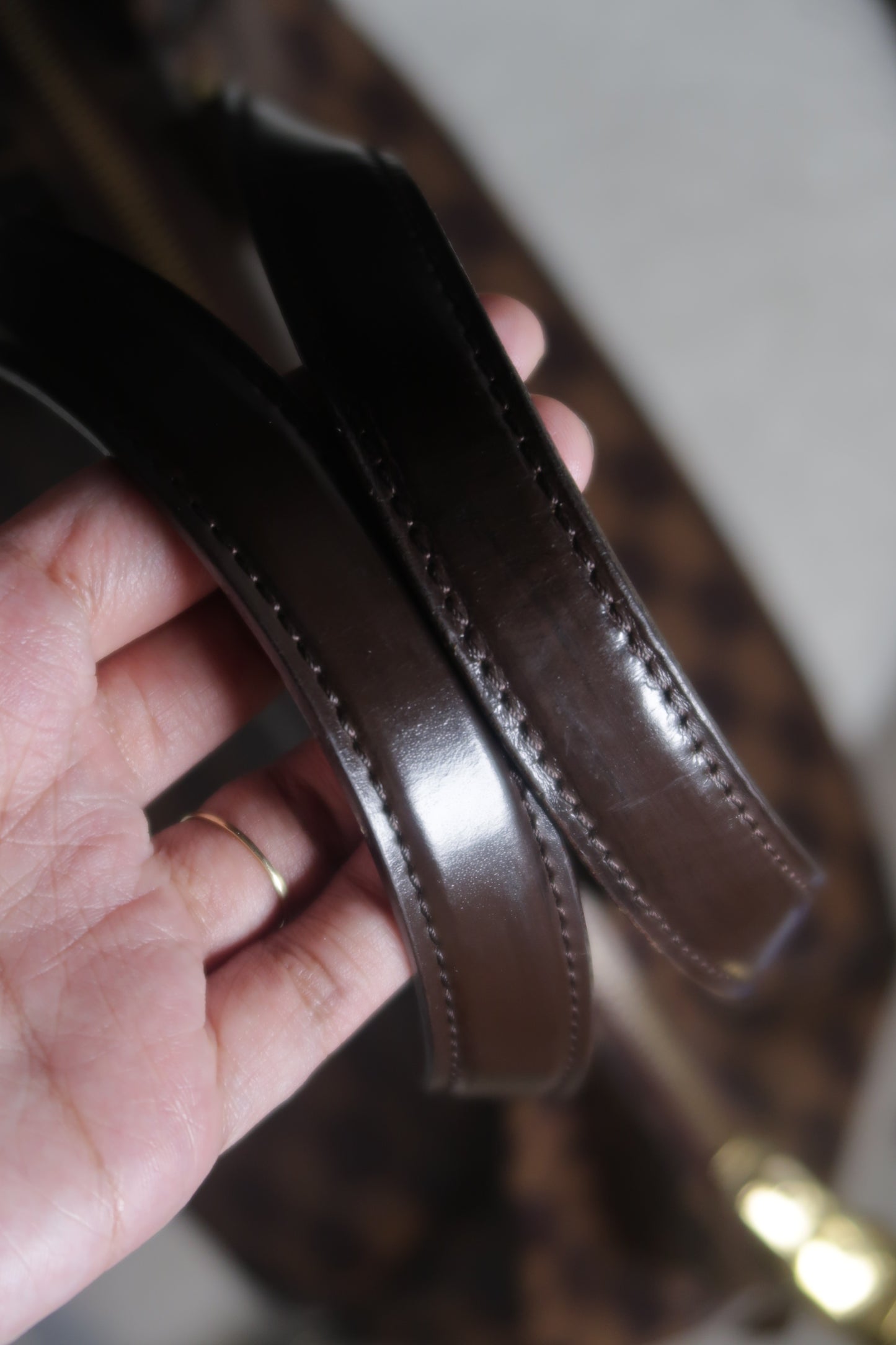 2010 Damier Ebene Verona PM Handbag