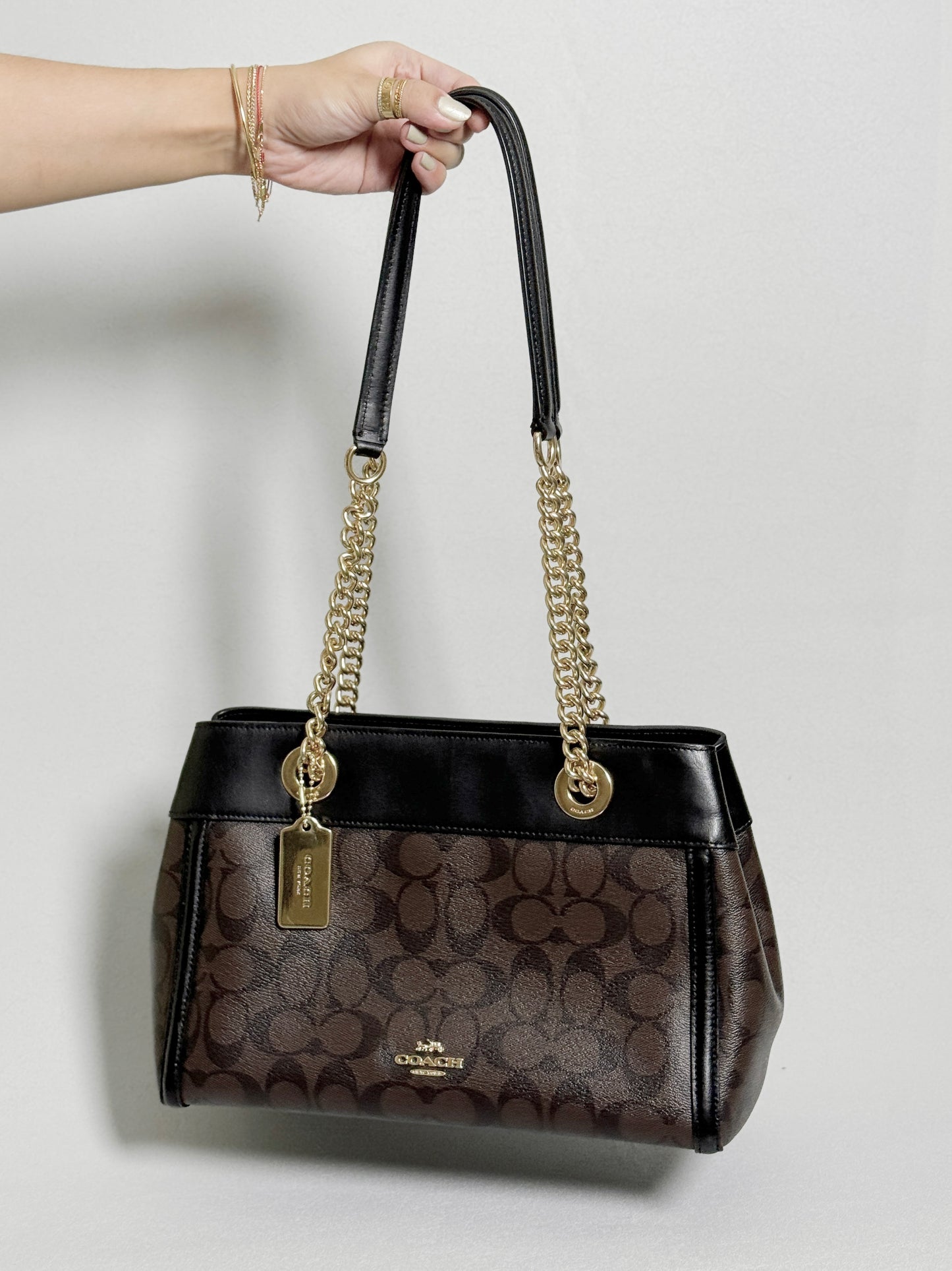 Brooke Chain Carryall Shoulder Bag in Signature Canvas and Gold Hardware (Rare)